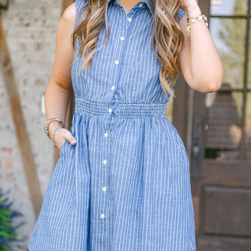 Blue Striped Synched Button Down Dress